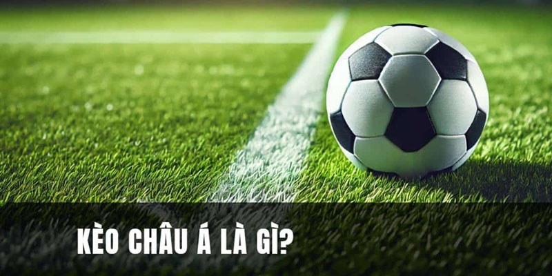 Đối với những ai chưa biết, nhà cái đánh giá đội cửa trên có phong độ và sức mạnh vượt trội hơn. Lúc này, mức cược châu Á âm (-) chỉ rõ đội mạnh hơn. Ngược lại, đội yếu hơn sẽ nằm ở cửa dưới và có ký hiệu với hệ số dương (+). Để tham gia kèo bóng đá Handicap, bạn cần đặt cược cho một trong hai đội để nhận tiền thưởng.